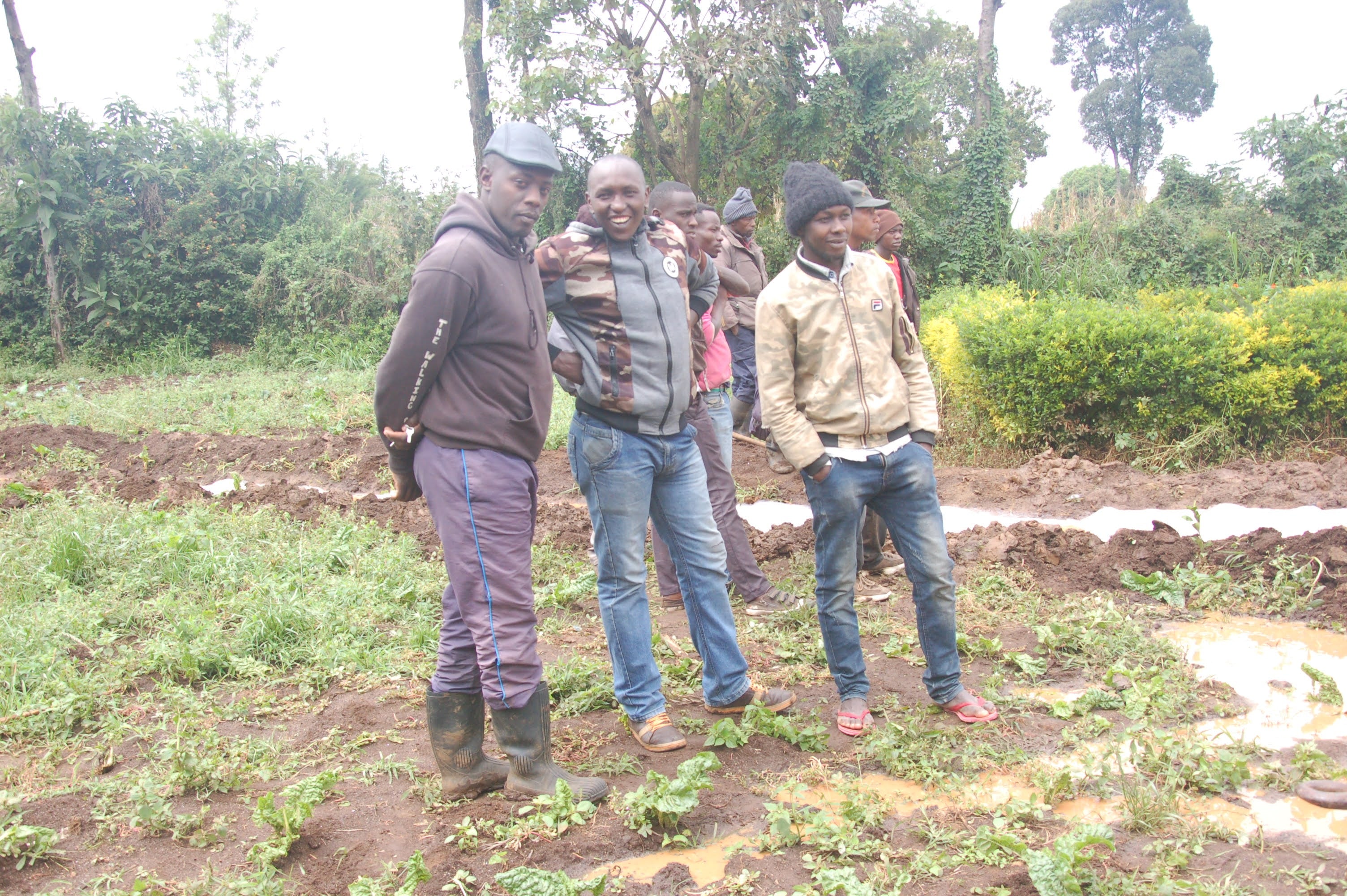 Water Borehole Drilling