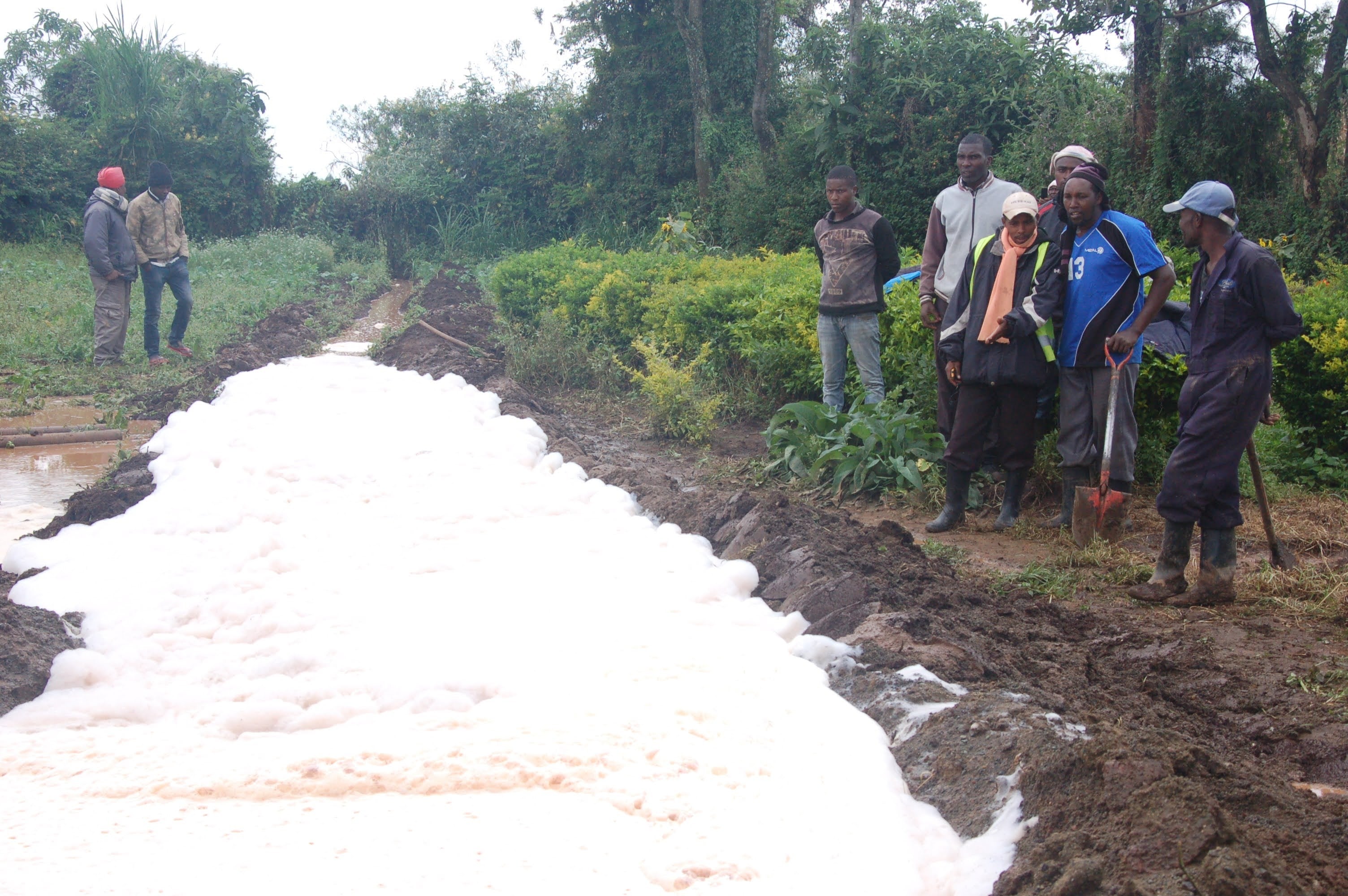 Water Borehole Drilling